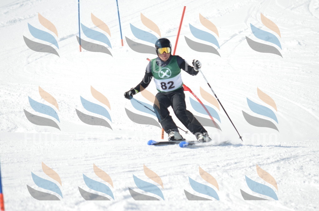 D9021 | holidayphoto