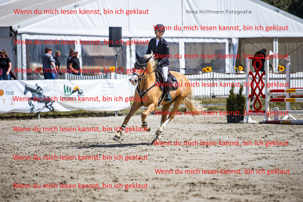 BK1A5186 | Turnierbilder Turnierfotos Nina Hüffmann Turnierfotografie Pferdefotografie Tierzeichnung Haustierzeichnung Pferdezeichnung Hundezeichnung Videograf  - Realisiert mit Pictrs.com