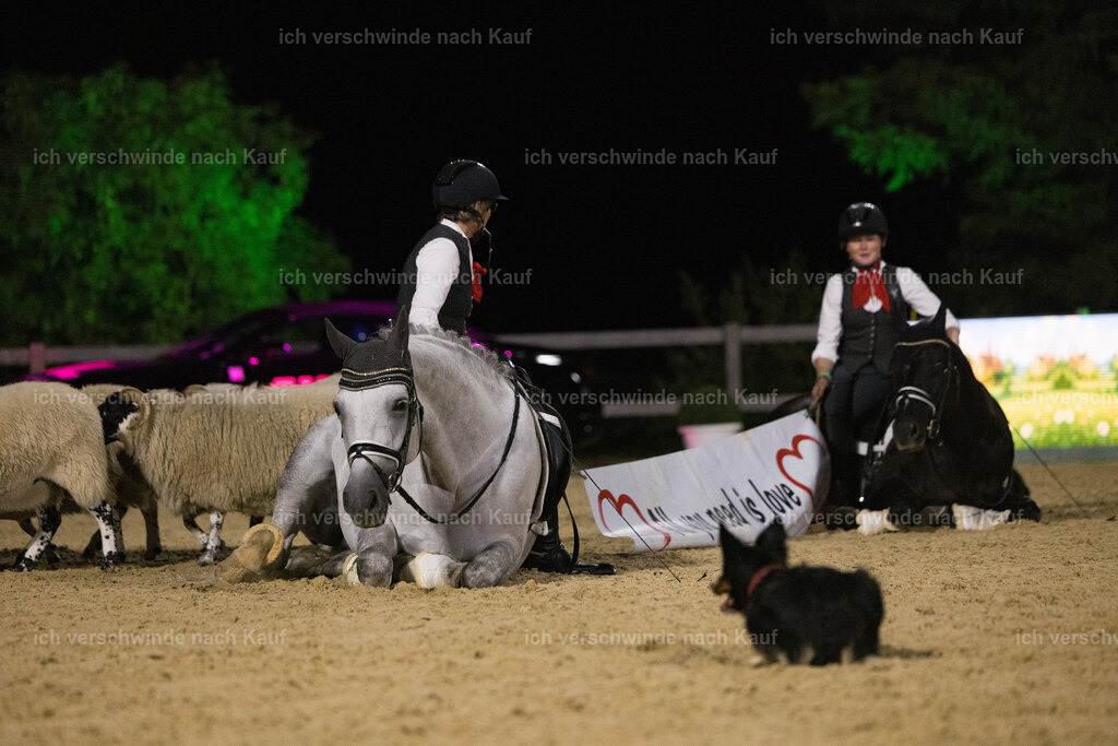 Gala-518 | working equitationturnier fotograf videograf stoibphotography marixx film working equitation deutschland reitsport turnierfotografie eventfotografie equestrian events