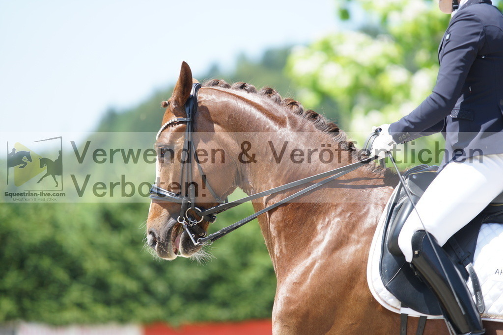 DSC03564 | equestrian-live-com