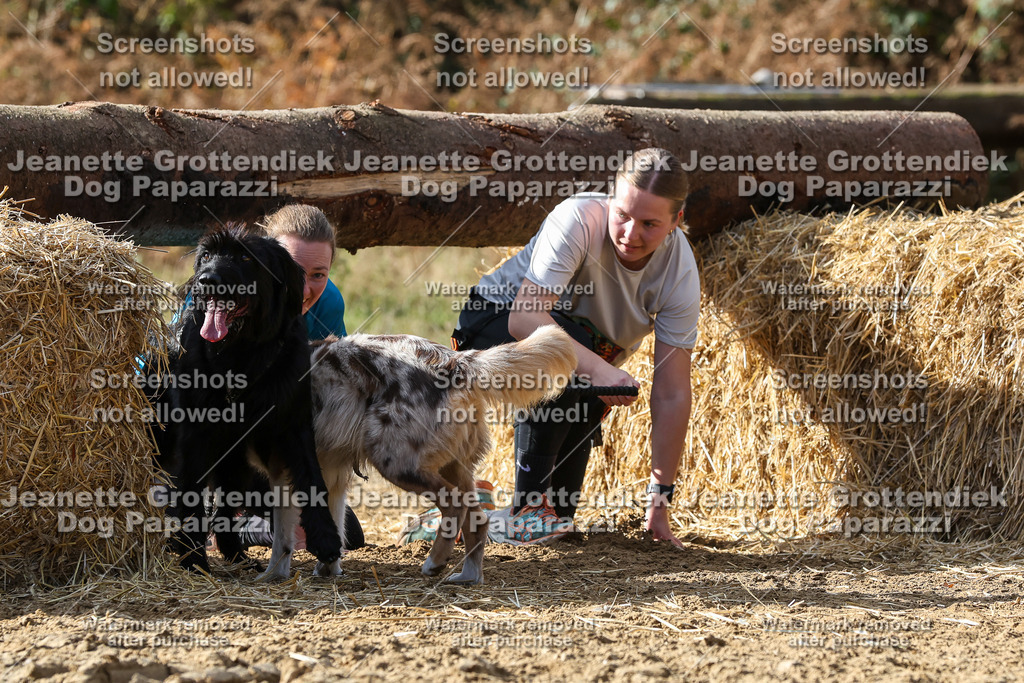 Dog Paparazzi - Strongdog 10-25-5341 | Dog Paparazzi Jeanette Grottendiek Fotografie & Videografie - Realisiert mit Pictrs.com