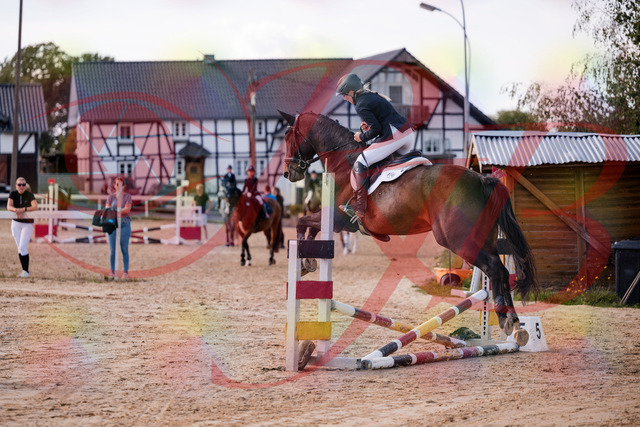 2026_10_03_Siefer-Hof_144053_Z81_12333310 | Professionelle Reitsport-, Turnier- und Eventfotografie von Robert Broda. Galerien mit ausgewählten und bearbeiteten Bildern direkt online ansehen und bestellen.