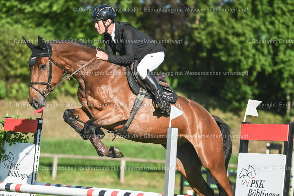 20230908_14-15_Springpferde-A_0027 | equistock