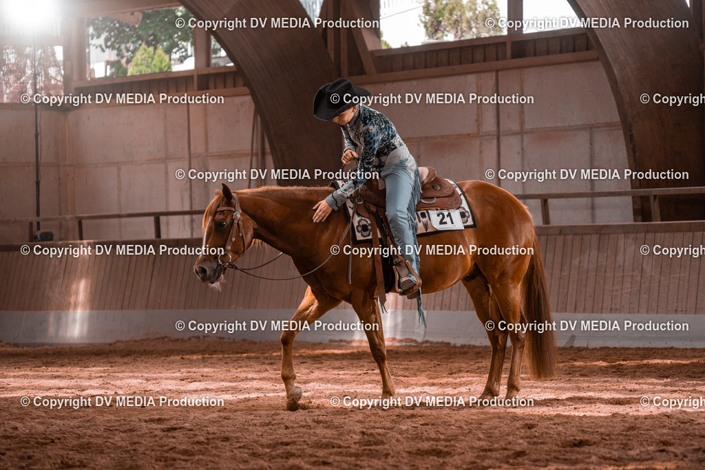 NE100463 | dv-media-shop - Realisiert mit Pictrs.com