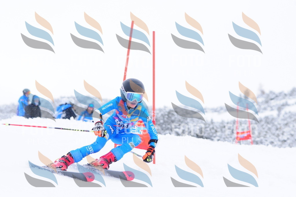 C4176 | holidayphoto