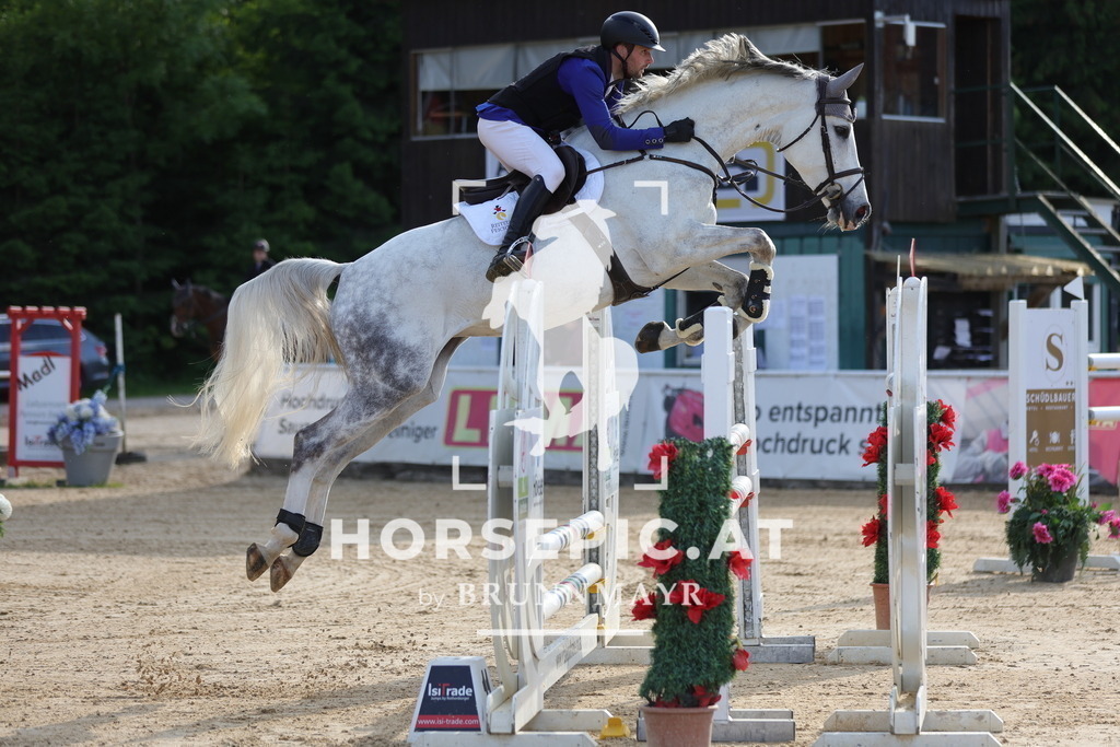 0P6A9706 | Willkommen bei Brunnmayr - Design & Fotografie – Ihrem Spezialisten für Reitturniere und Pferdeveranstaltungen in Oberösterreich, Salzburg und Bayern! Seit über 17 Jahren sind wir leidenschaftlich dabei.