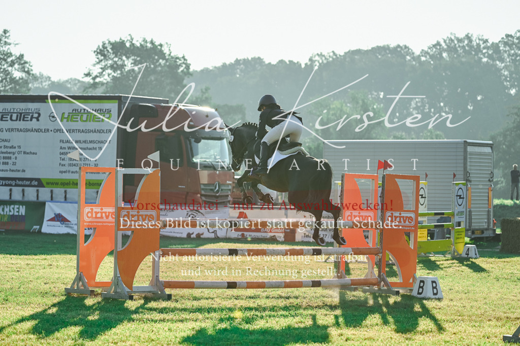 DSC_4088 | Pferde- und Turnierfotografie in Westsachsen. Pferdeportraits, Auftragszeichnungen und intuitive Kunst.