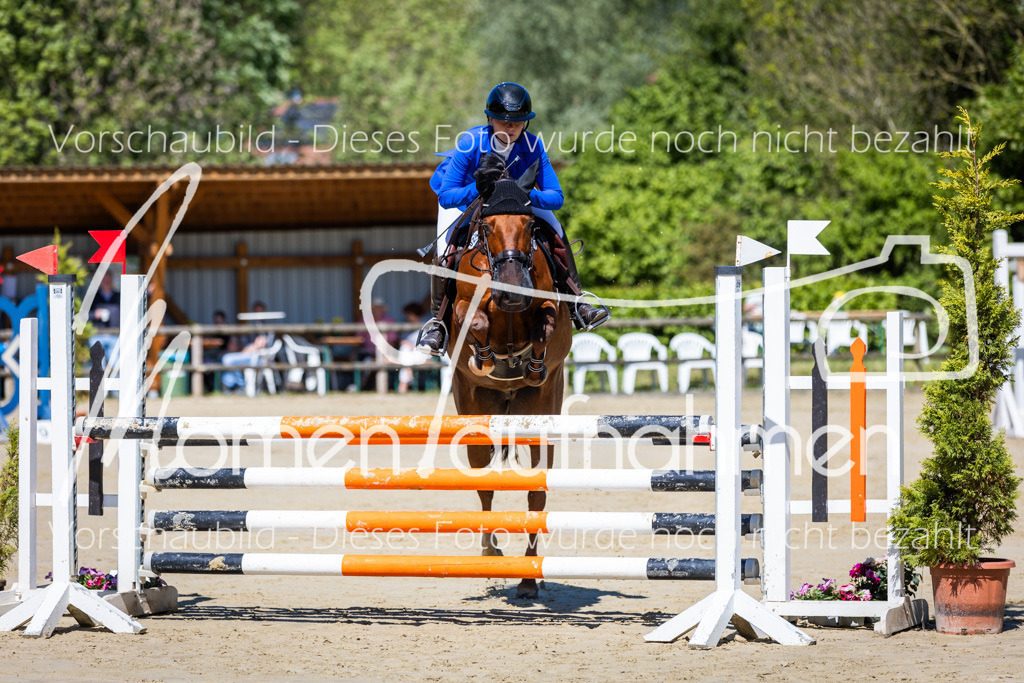 Donop24-ASprmstA-001 | MomenTaufnahmen Pferdesportfotos