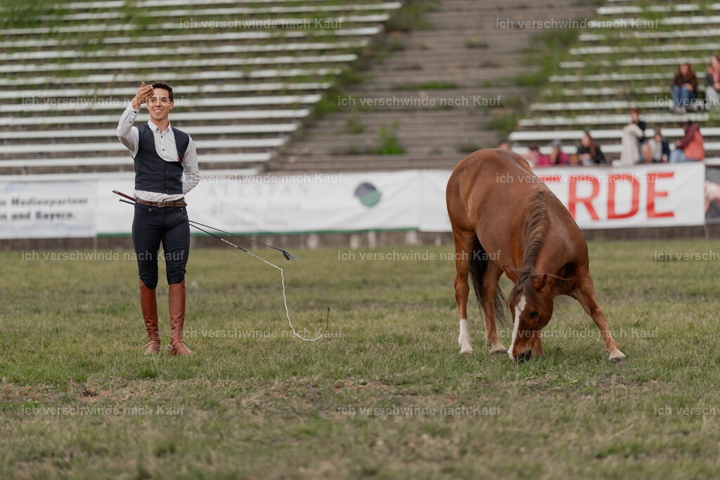 Showprogramm-418 | working equitationturnier fotograf videograf stoibphotography marixx film working equitation deutschland reitsport turnierfotografie eventfotografie equestrian events