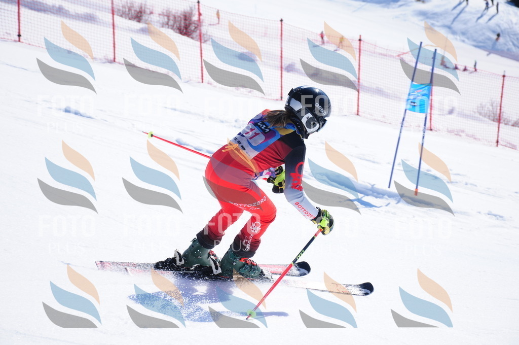 DSC_3714 | holidayphoto