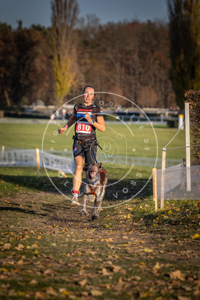 CaniXpix_DV3A3010 | Hundefotografie, Tierfotograf, Pfotenfotografie, Fotoshooting Hund, Hunde Portrait, Hundesport, Hundeportraits, Heideshooting, Hunde, Sportfotograf, Hundefotograf, Turnierhundsport, THS,  - Realisiert mit Pictrs.com
