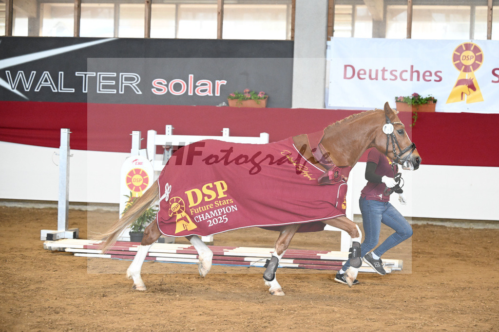 Kat-Nr. 46 TP Fabelhafter Floris v. Fabelhafter Frechdachs_Schmid_7251233 | hf-fotografie - Realizzato con Pictrs.com