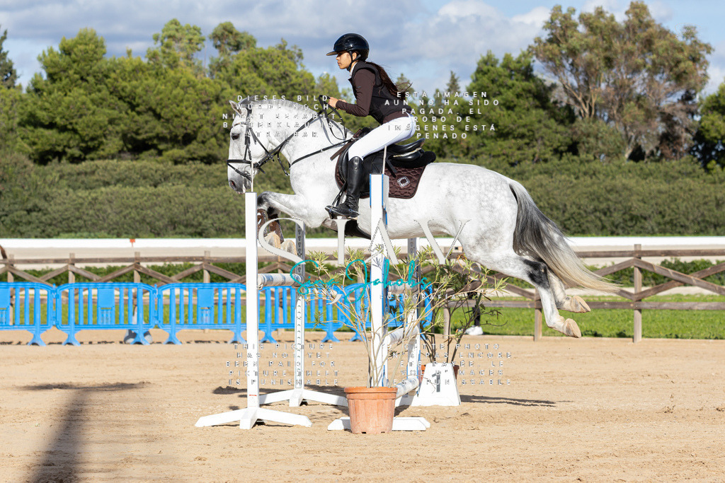 IMG_7998 | s-jay-photography - Realisiert mit Pictrs.com