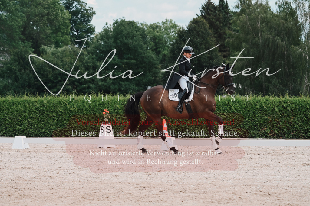 DSC_4425 | Pferde- und Turnierfotografie in Westsachsen. Pferdeportraits, Auftragszeichnungen und intuitive Kunst.