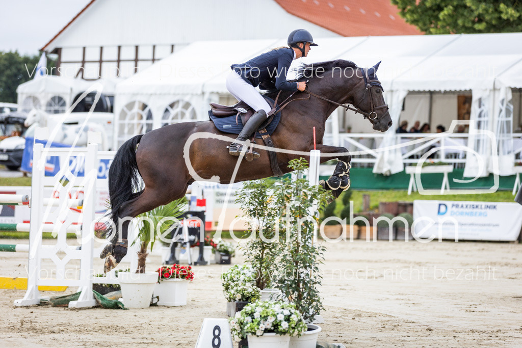 BHO-2PhSpr-M-5-2031 | MomenTaufnahmen Pferdesportfotos