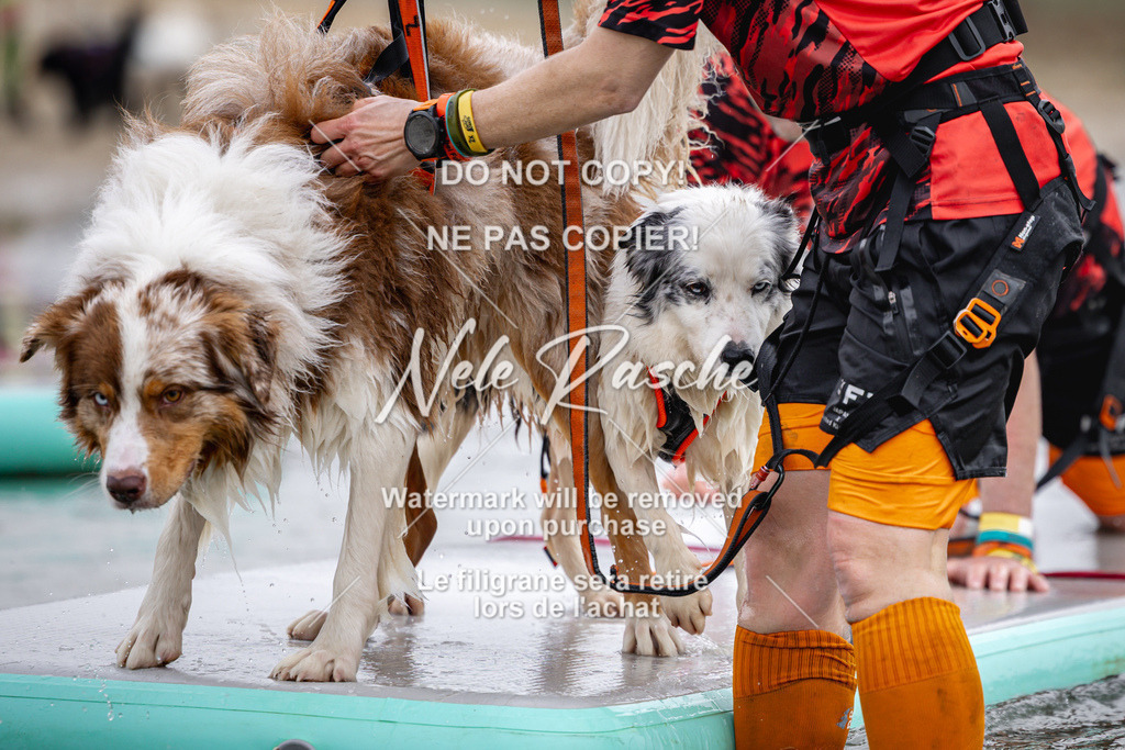 nelerasche_Hulsbeek_Sa1130-1230_490 | nelerasche