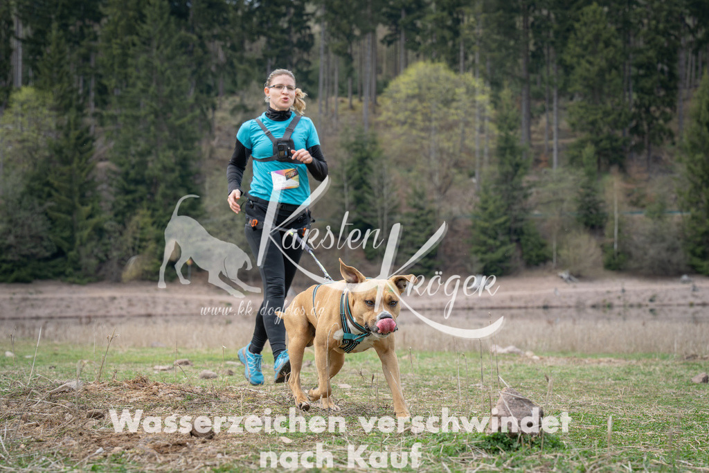 1833_ZZ99337 | kk-dogfotos