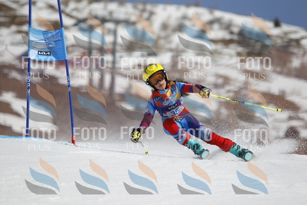 _U3G9183 | holidayphoto