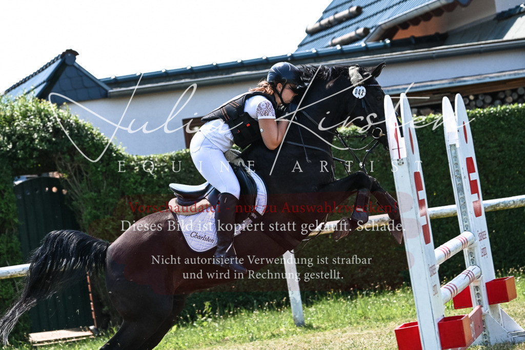 DSC_0426 | Pferde- und Turnierfotografie in Westsachsen. Pferdeportraits, Auftragszeichnungen und intuitive Kunst.