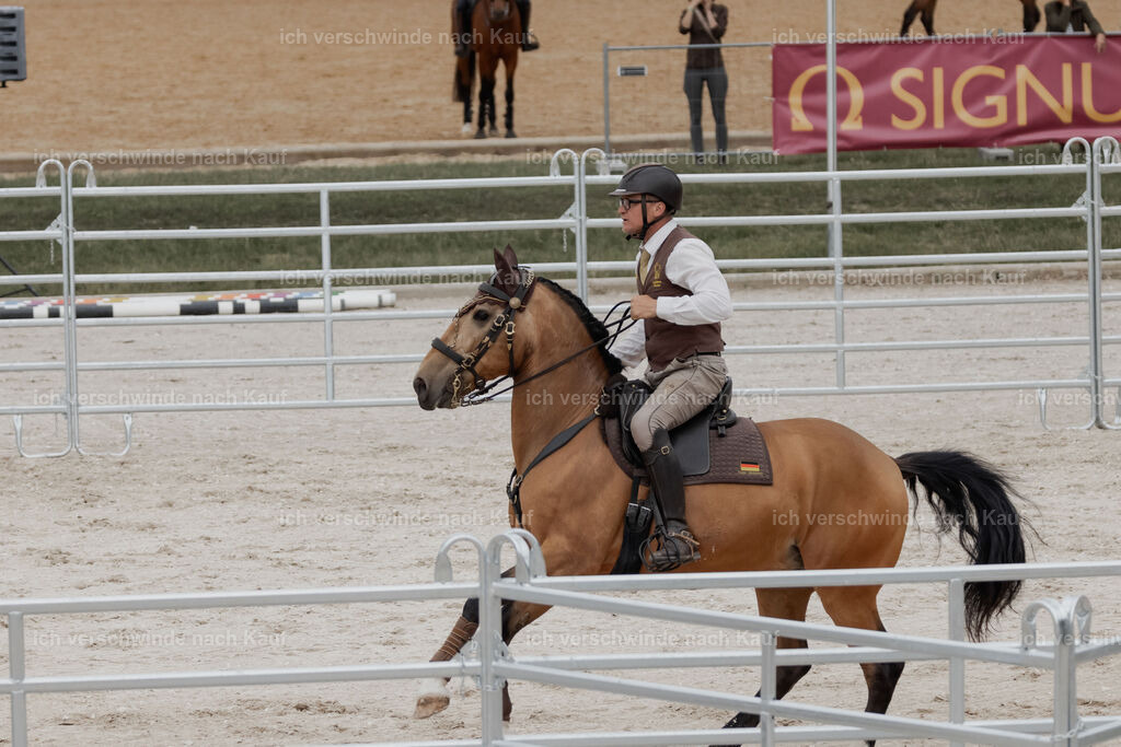 WE__Stoib_Rinder_PI2025_3003 | Pferd International München 2025