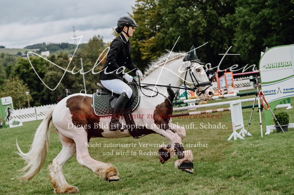DSC_6750 | Pferde- und Turnierfotografie in Westsachsen. Pferdeportraits, Auftragszeichnungen und intuitive Kunst.