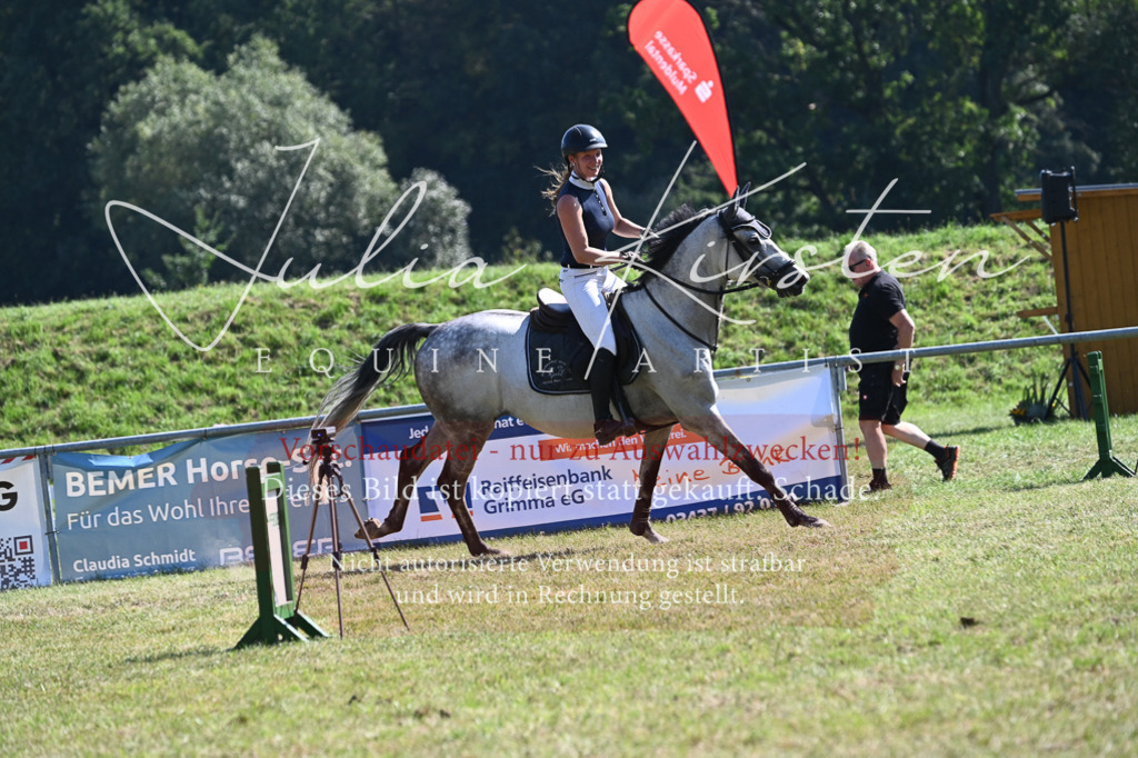 DSC_6500 | Pferde- und Turnierfotografie in Westsachsen. Pferdeportraits, Auftragszeichnungen und intuitive Kunst.