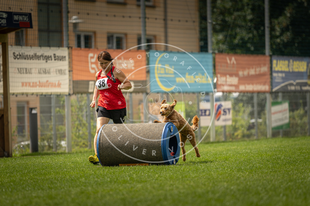Pfotenfotografie_DV3A3640 | Hundefotografie, Tierfotograf, Pfotenfotografie, Fotoshooting Hund, Hunde Portrait, Hundesport, Hundeportraits, Heideshooting, Hunde, Sportfotograf, Hundefotograf, Turnierhundsport, THS,  - Realisiert mit Pictrs.com