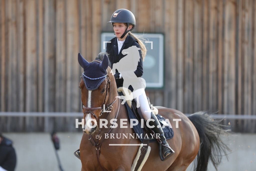 0P6A8897 | Willkommen bei Brunnmayr - Design & Fotografie – Ihrem Spezialisten für Reitturniere und Pferdeveranstaltungen in Oberösterreich, Salzburg und Bayern! Seit über 17 Jahren sind wir leidenschaftlich dabei.