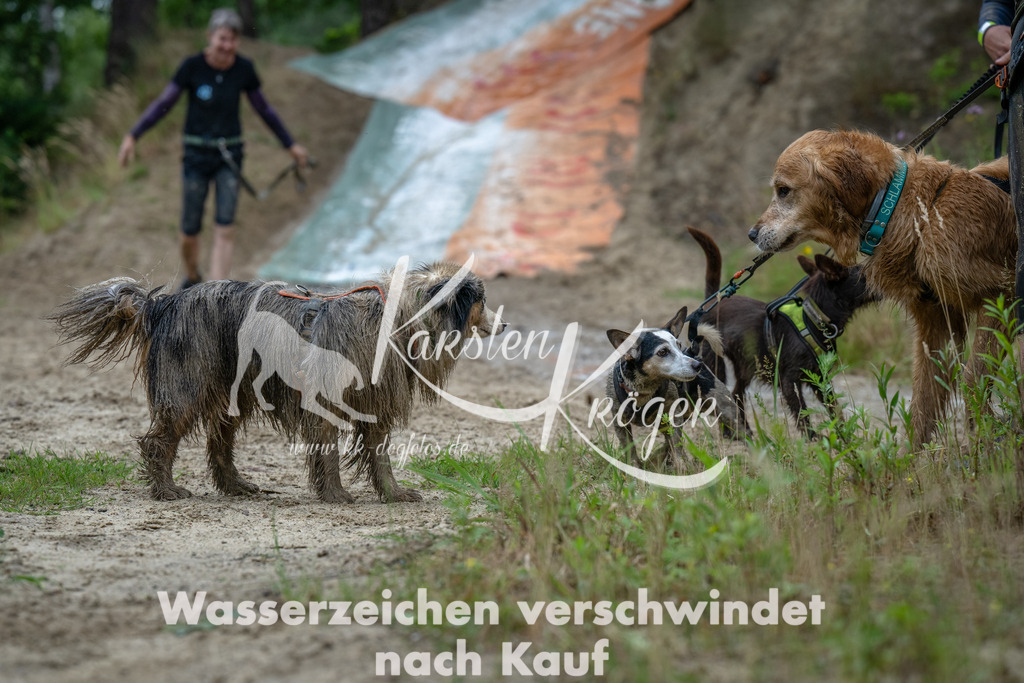 1257_ZZ91544-Bearbeitet | kk-dogfotos