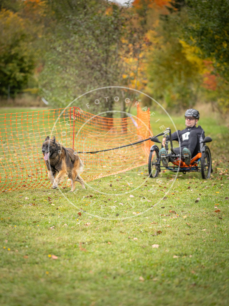 Pfotenfotografie_DV3A3533 | Hundefotografie, Tierfotograf, Pfotenfotografie, Fotoshooting Hund, Hunde Portrait, Hundesport, Hundeportraits, Heideshooting, Hunde, Sportfotograf, Hundefotograf, Turnierhundsport, THS,  - Realisiert mit Pictrs.com