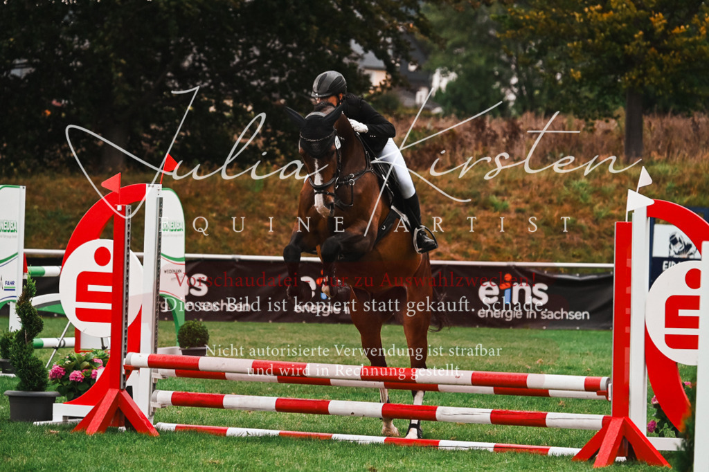 DSC_6140 | Pferde- und Turnierfotografie in Westsachsen. Pferdeportraits, Auftragszeichnungen und intuitive Kunst.