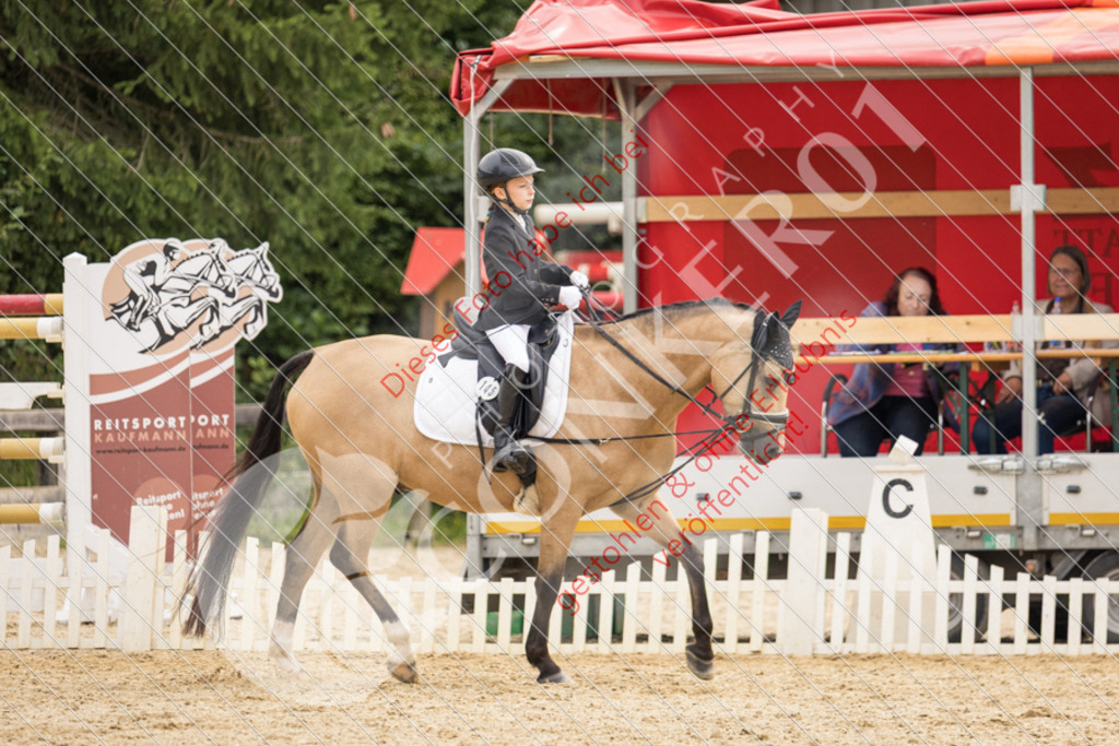 CON_0342 | Sport-, Event- und Tierfotos in Profiqualität. Einfach auswählen, bestellen und herunterladen. Dein Moment – perfekt festgehalten.