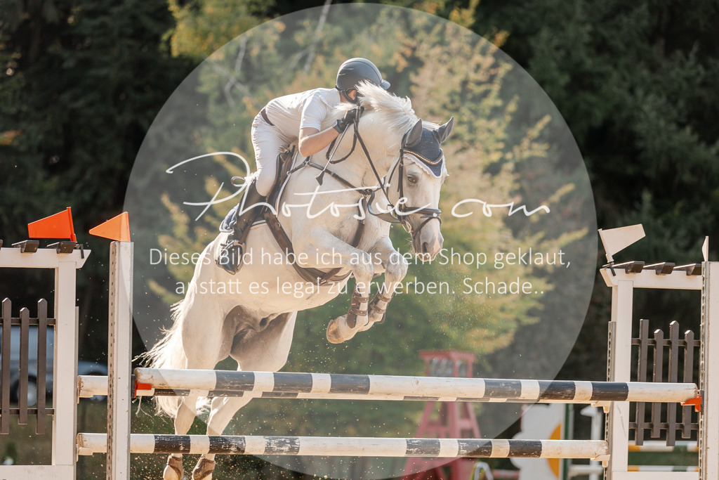 3I6A5077 | Stimmungsvolle Portraits und Reitsportfotografie im Ruhrgebiet und im Münsterland.

Pferdefotografie, Hundefotografie, Tierfotografie, Reportagen, Portraits von Tier und Mensch, Turnierfotografie in Bochum, Recklinghausen, Marl, Haltern am See, Dülmen.. - Realisiert mit Pictrs.com