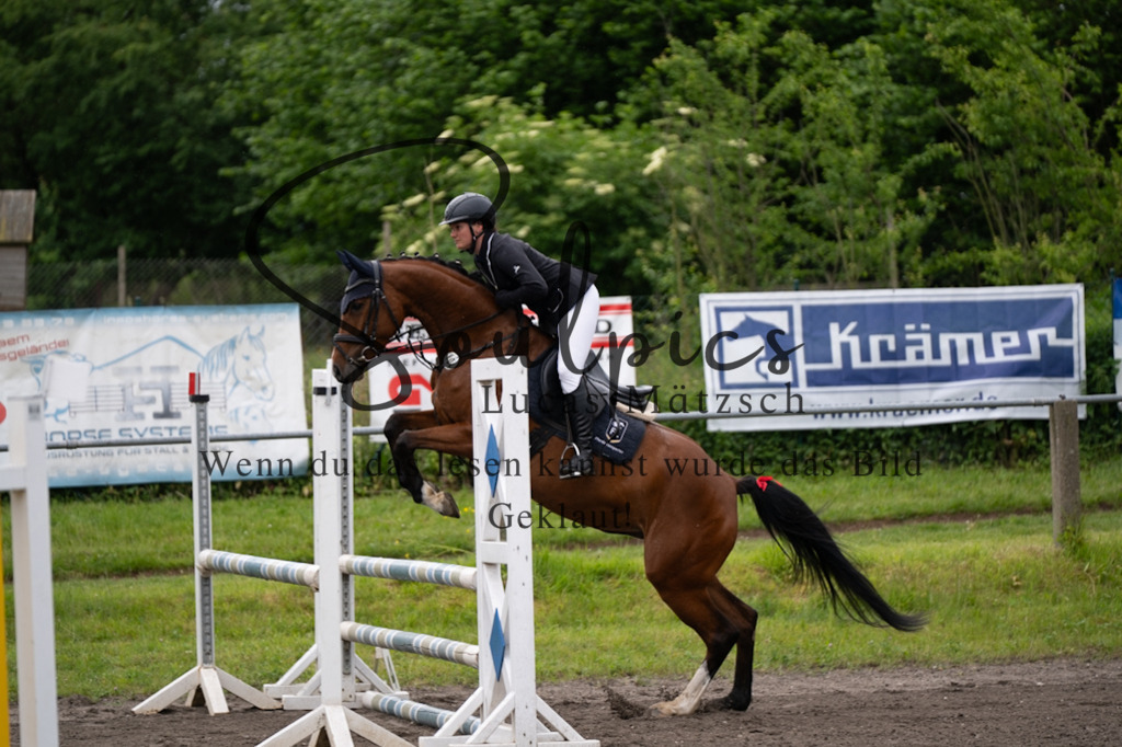 A7V03844 | Pferdefotograf