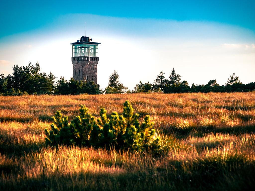 Hornisgrindeturm | Spätsommerliches Hochmoor auf der Hornisgrinde im Nordschwarzwald - Realisiert mit Pictrs.com