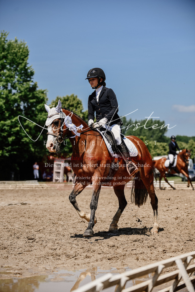 DSC_2068 | Pferde- und Turnierfotografie in Westsachsen. Pferdeportraits, Auftragszeichnungen und intuitive Kunst.