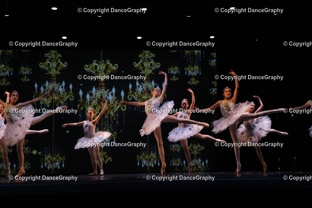 GPHY6951 | DanceGraphy - Realisiert mit Pictrs.com