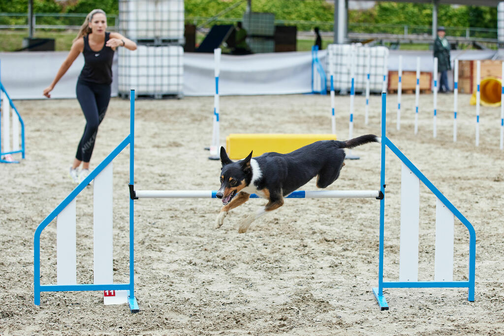 580A0214 | Peter Fridle Fotografie - Realisiert mit Pictrs.com