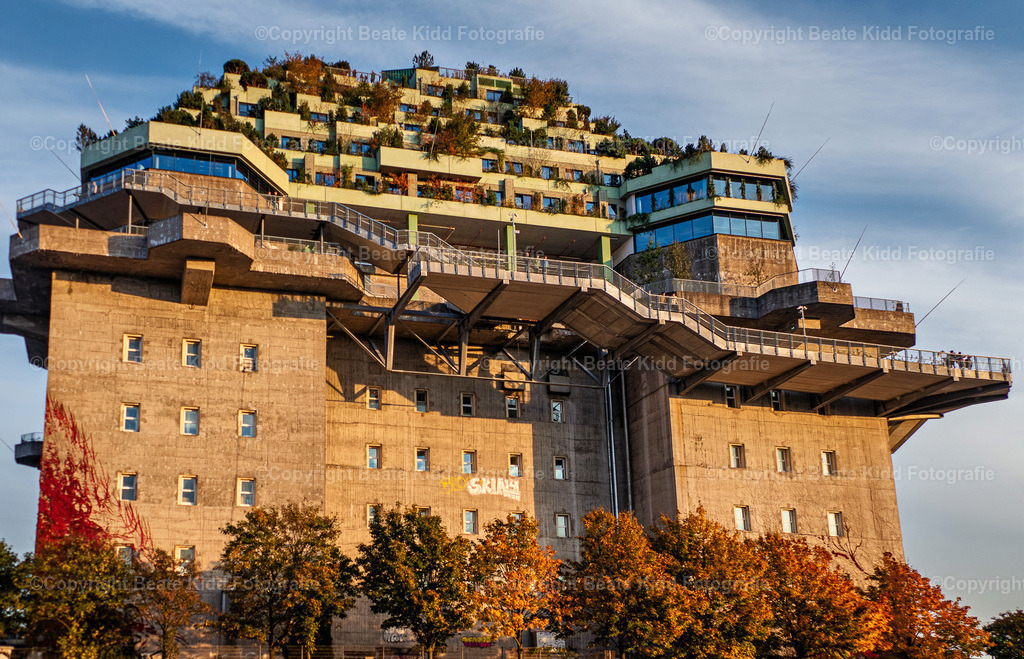 P2030623 | beatekidd-fotografie - Realisiert mit Pictrs.com