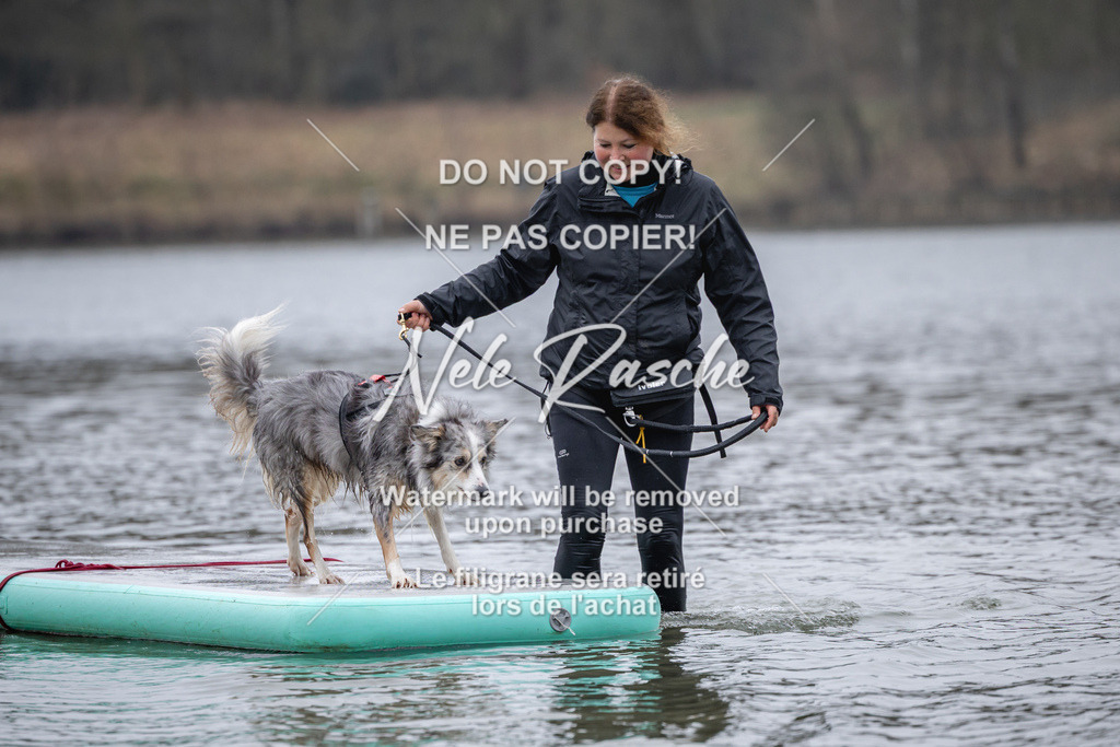 nelerasche_Hulsbeek_Sa1600-1700_290 | nelerasche