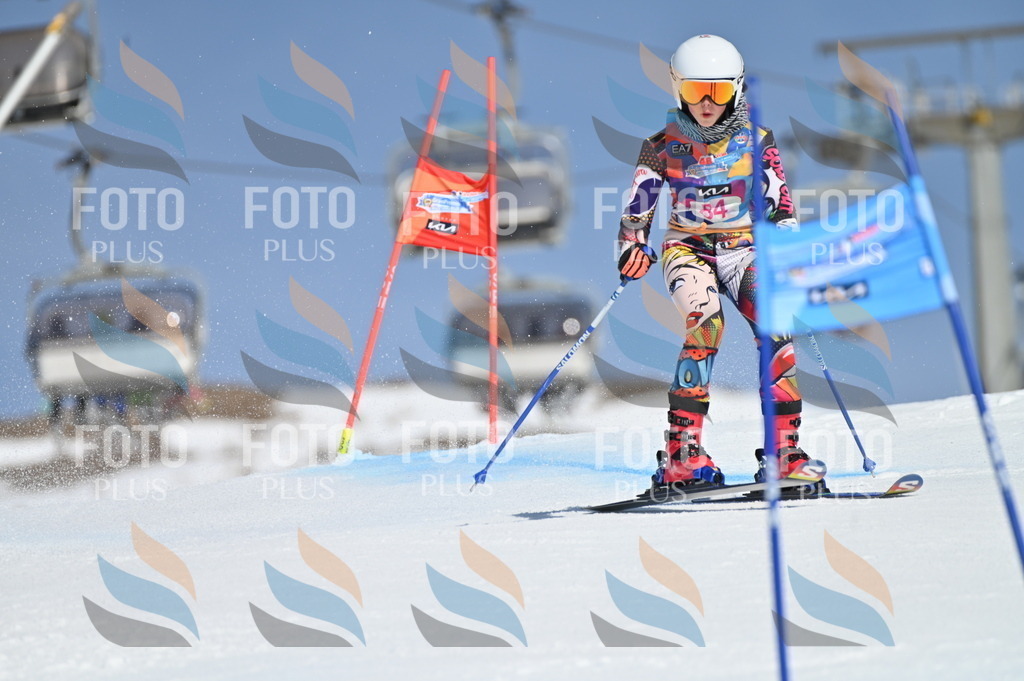 BGV_9138 | holidayphoto