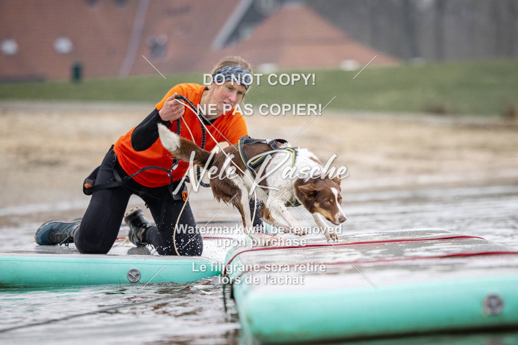 nelerasche_Hulsbeek_Sa1100-1130_619 | nelerasche