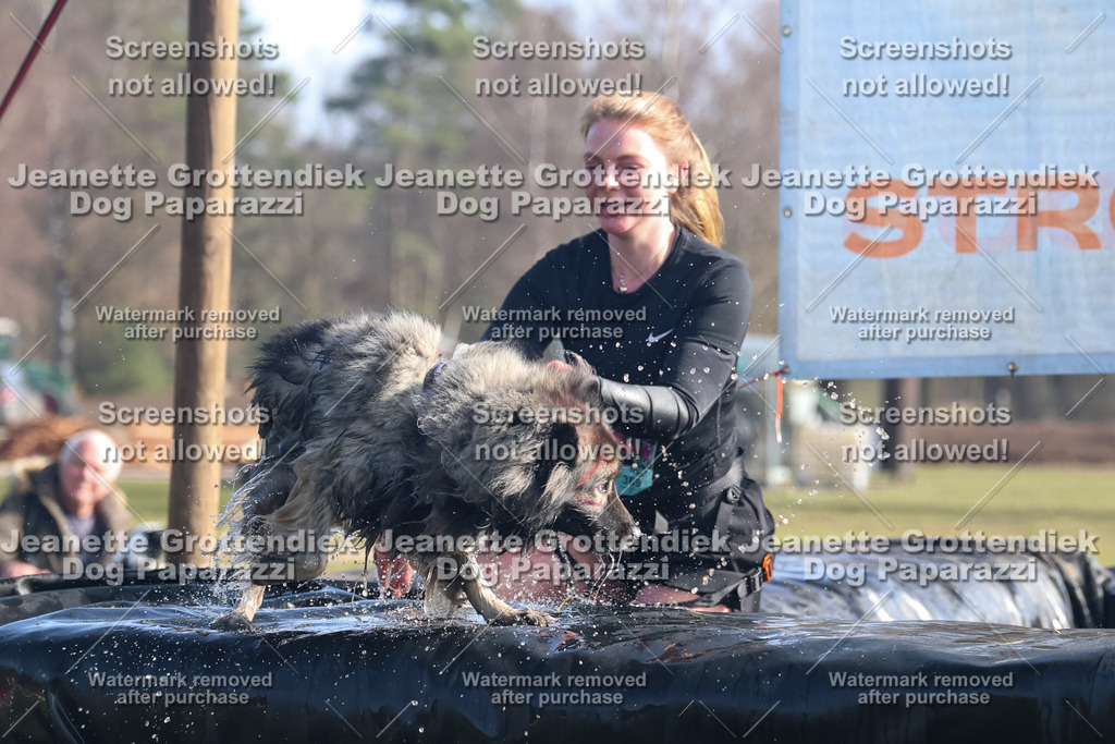 Dog Paparazzi - Strongdog North Mrz26-1204 | Dog Paparazzi Jeanette Grottendiek Fotografie & Videografie - Realisiert mit Pictrs.com