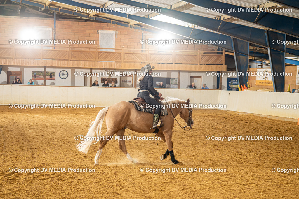 MIT00676 | dv-media-shop - Realisiert mit Pictrs.com