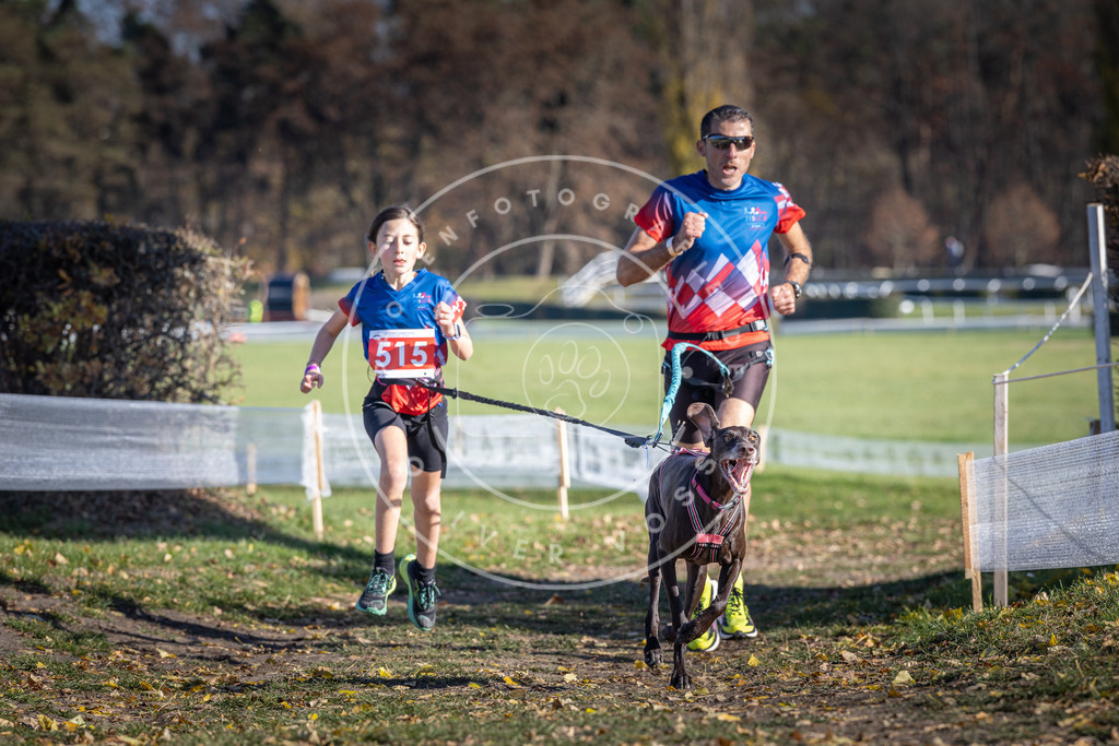 CaniXpix_DV3A8014 | Hundefotografie, Tierfotograf, Pfotenfotografie, Fotoshooting Hund, Hunde Portrait, Hundesport, Hundeportraits, Heideshooting, Hunde, Sportfotograf, Hundefotograf, Turnierhundsport, THS,  - Realisiert mit Pictrs.com