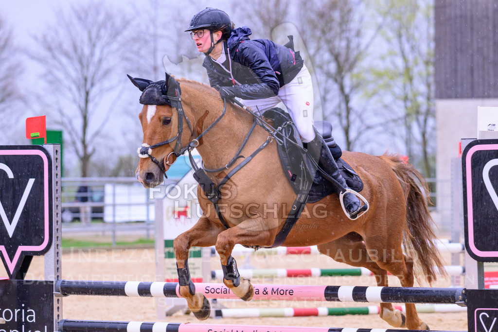 10042026-Mammendorf-Prfg13-0234 | Fokus Hufschlag Fotografie - Realisiert mit Pictrs.com
