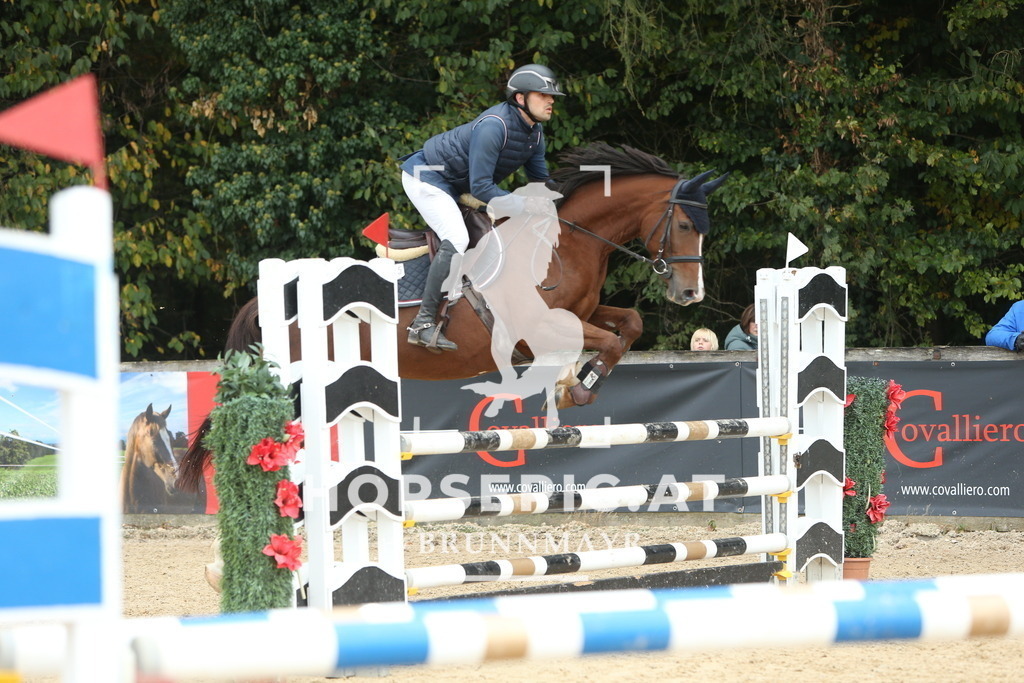 DL2Q6314 | Willkommen bei Brunnmayr - Design & Fotografie – Ihrem Spezialisten für Reitturniere und Pferdeveranstaltungen in Oberösterreich, Salzburg und Bayern! Seit über 17 Jahren sind wir leidenschaftlich dabei.