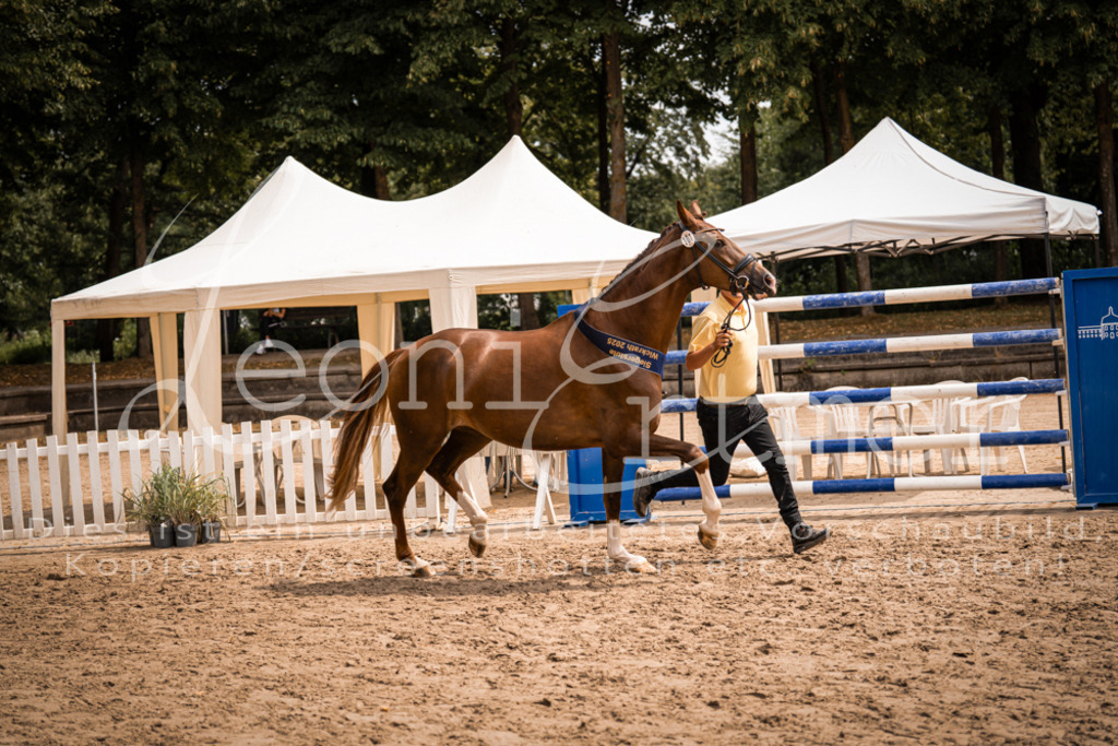 3.Fr00267 | Leoni Ertmer Photography - Realisiert mit Pictrs.com