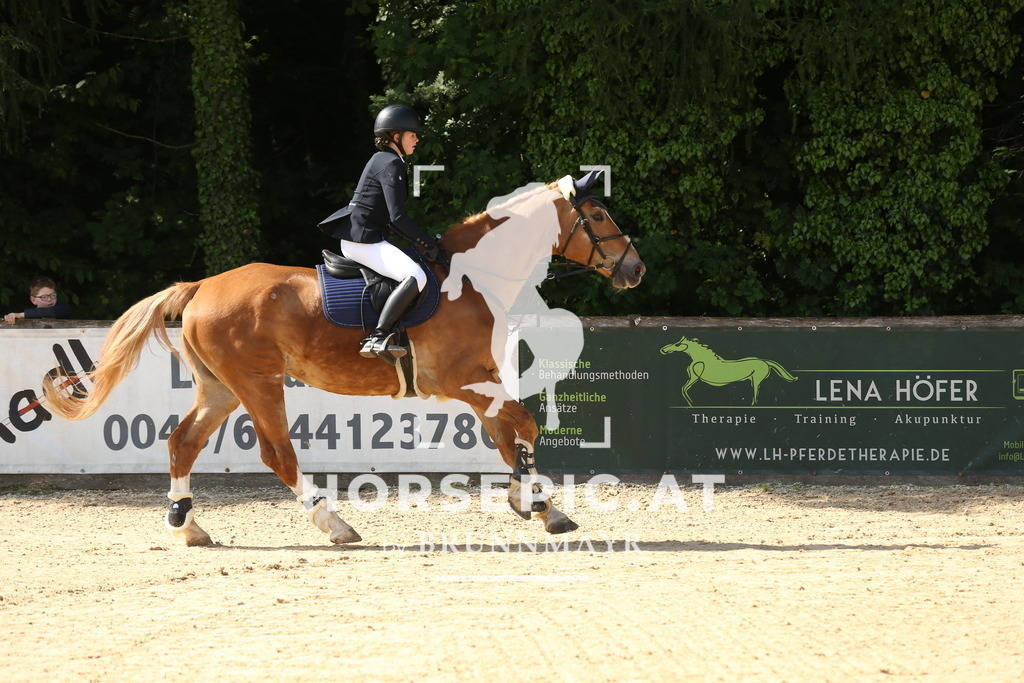 DL2Q4782 | Willkommen bei Brunnmayr - Design & Fotografie – Ihrem Spezialisten für Reitturniere und Pferdeveranstaltungen in Oberösterreich, Salzburg und Bayern! Seit über 17 Jahren sind wir leidenschaftlich dabei.