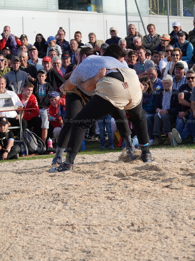 DSC05666 | Schwingen - Realisiert mit Pictrs.com